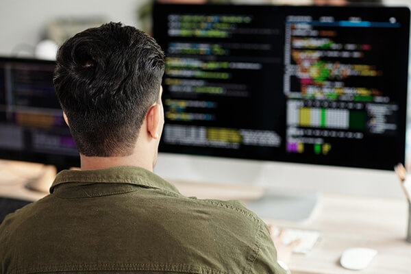 kompleksowe działanie WordPress